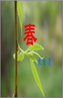 图片无法访问